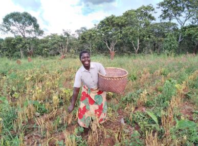 Chawezi’s Story