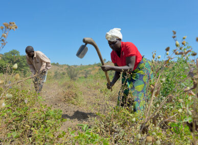 Designing Credit for Farmers